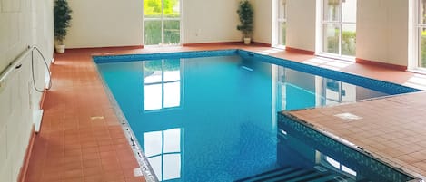 Una piscina amb un terra solcat, una finestra i una planta.