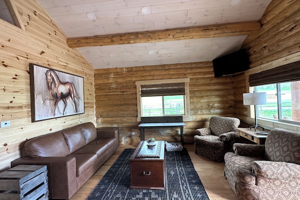 Den with queen sleeper sofa