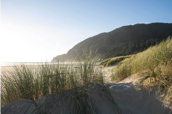 Beach nearby - Beautiful home, steps to town and 3 short blocks to the beach. 5 Bedroom, 3 Bath, Dog Friendly. (Manzanita)