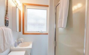 Shower, hair dryer, shampoo
