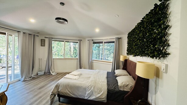 Een moderne slaapkamer met een groot bed, twee bedlampen, uitzicht op groen door de ramen en een plafondlamp.