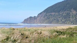 Un paysage côtier comprenant une plage, des dunes herbeuses et une colline boisée.