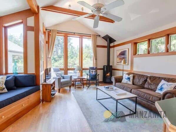 Smart TV, fireplace, DVD player, books