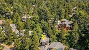 Un quartier résidentiel où les maisons sont entourées d’une forêt dense.