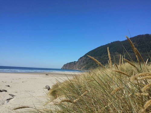 Ahoy Matey is close to the beach, dog friendly!