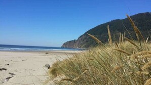 Une plage avec du sable, de l’herbe et une falaise.