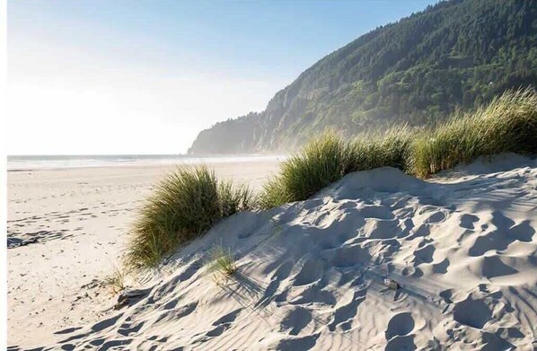 Playa en los alrededores 
