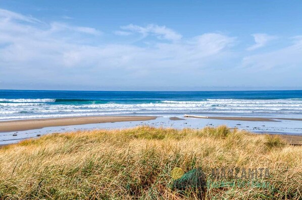 Beach nearby - Nomis Ark is steps to the beach and town. Hot Tub, 1 dog, fenced yard! (Manzanita)