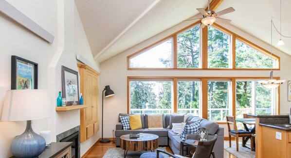 TV connectée, cheminée, jeux vidéo, lecteur de DVD