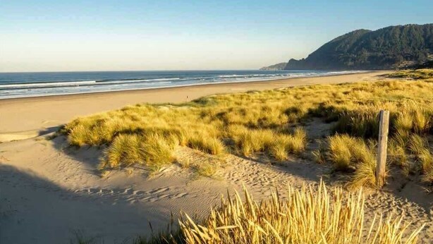 Een strand met zand en grasduinen, een houten paal, en een berg op de achtergrond.
