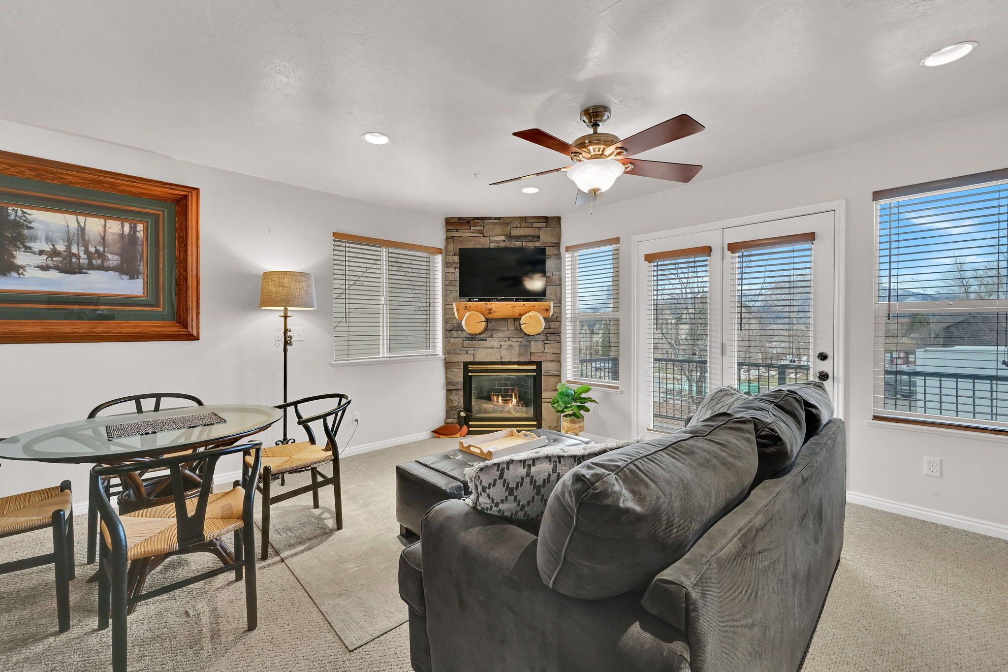 TV, fireplace, books
