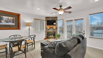 TV, fireplace, books