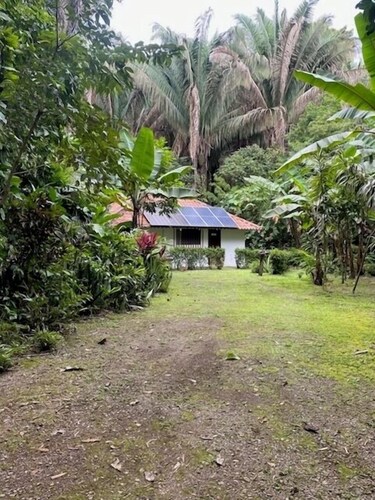 Jungle Casita on Beachfront Property Near Corcovado National Park