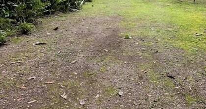 Jungle Casita on Beachfront Property Near Corcovado National Park