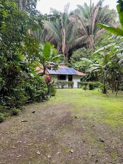 Jungle Casita on Beachfront Property Near Corcovado National Park