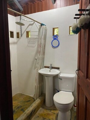 Shower, towels, soap, toilet paper