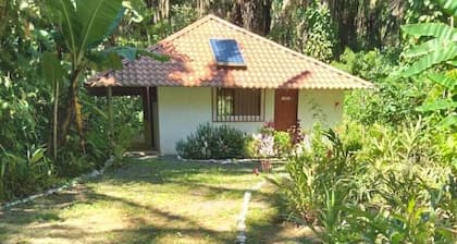 Jungle Casita on Beachfront Property Near Corcovado National Park