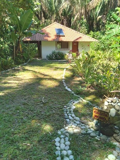Jungle Casita on Beachfront Property Near Corcovado National Park