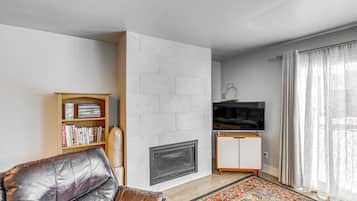 TV, fireplace, books