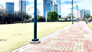 Exterior - Centennial Olympic Park  (Atlanta)
