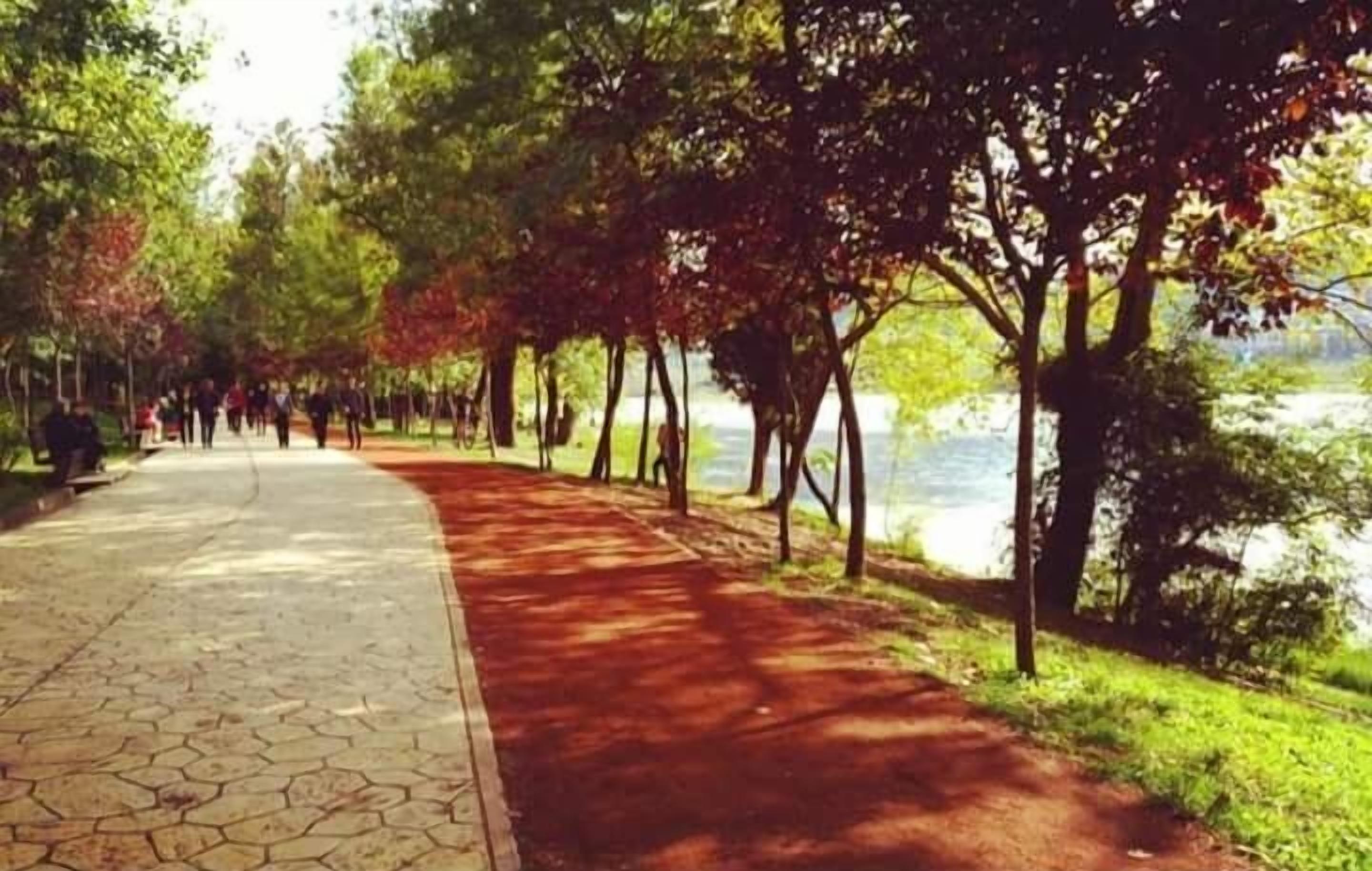 Photo - Tirana Square Hotel