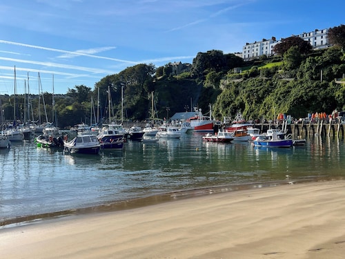 4 bedroom accommodation in Ilfracombe