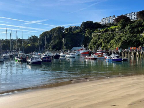 4 bedroom accommodation in Ilfracombe