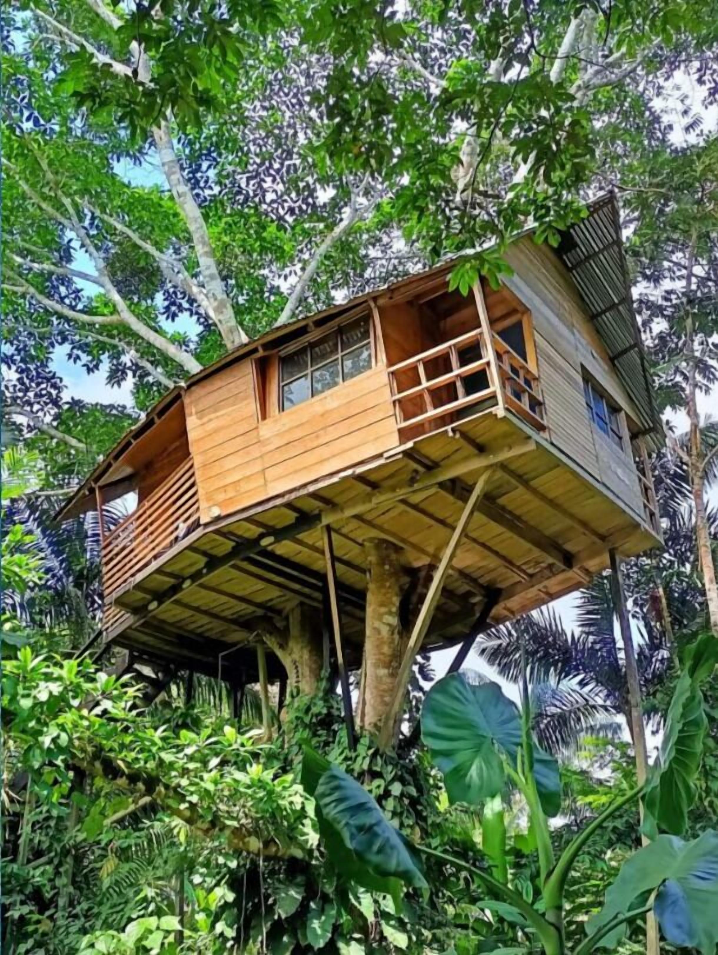Pemandangan dari kamar