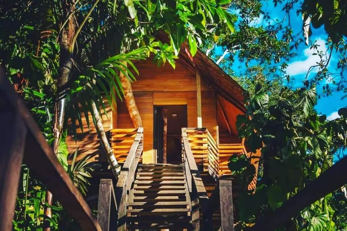 Tree House | 1 bedroom, bed sheets