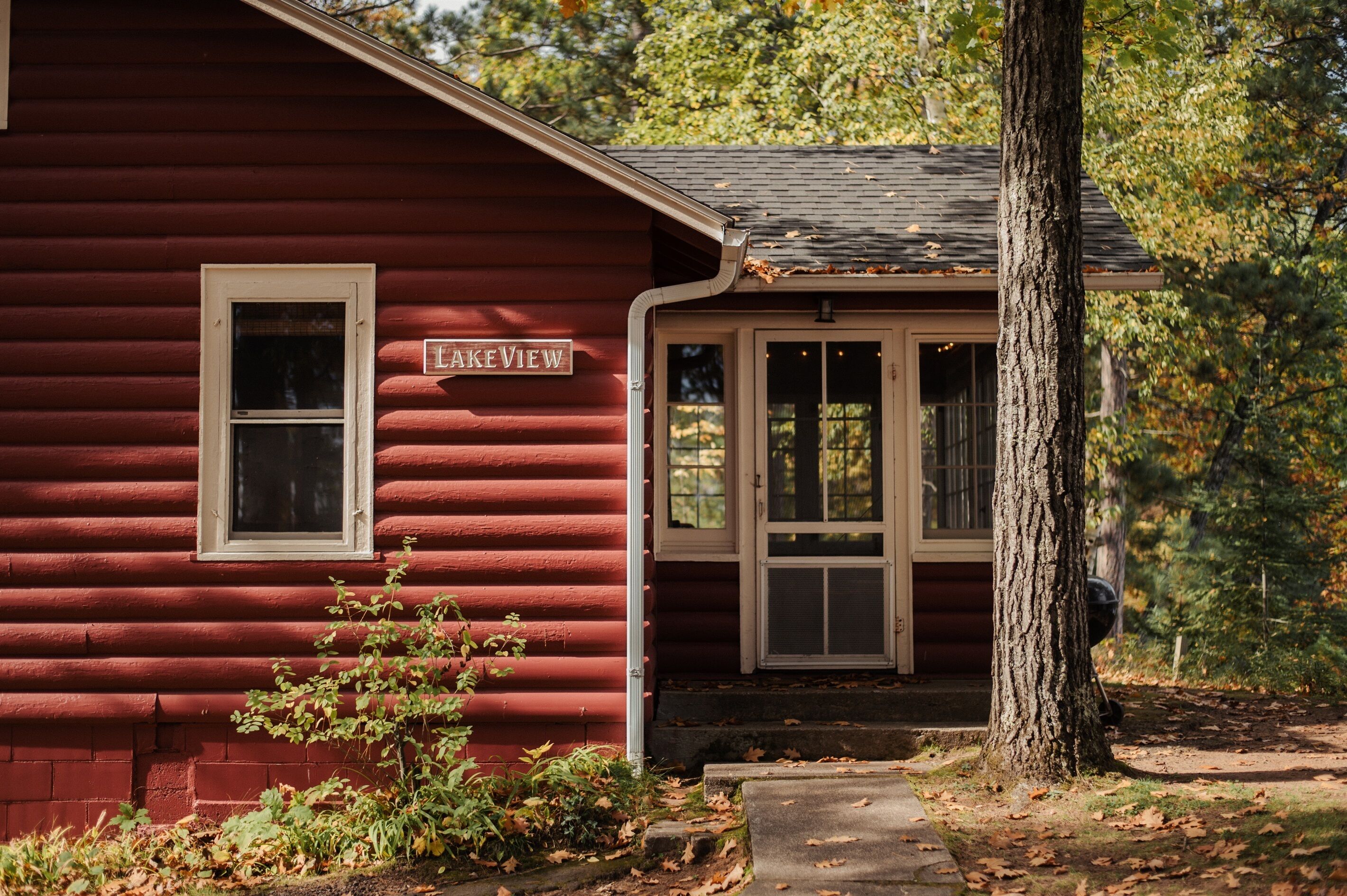 Charming Northwoods Lakeview Cabin on Alder Lake