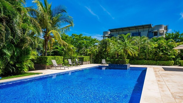 Una piscina rectangular con agua cristalina azul, rodeada de exuberante vegetación y palmeras.
