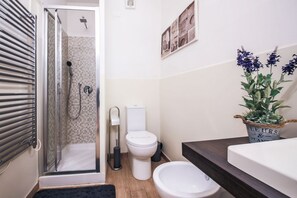 Shower, hair dryer, bidet, towels