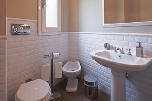 Shower, hair dryer, bidet, towels