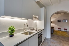 A modern kitchen with a built-in gas stove, stainless steel sink, and a potted plant.
