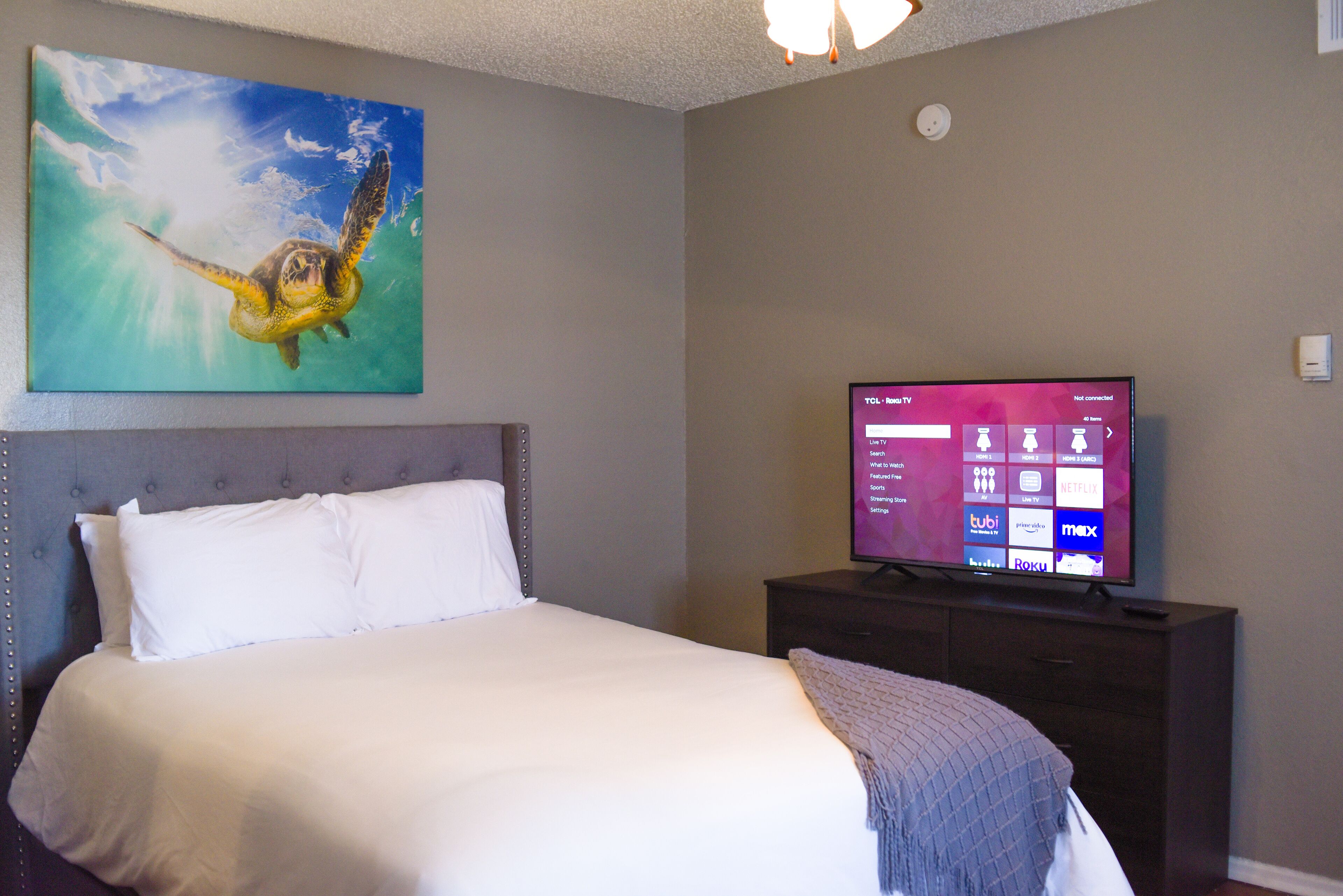 A hotel room with a bed, a television displaying a streaming service interface, and a painting of a sea turtle on the wall.