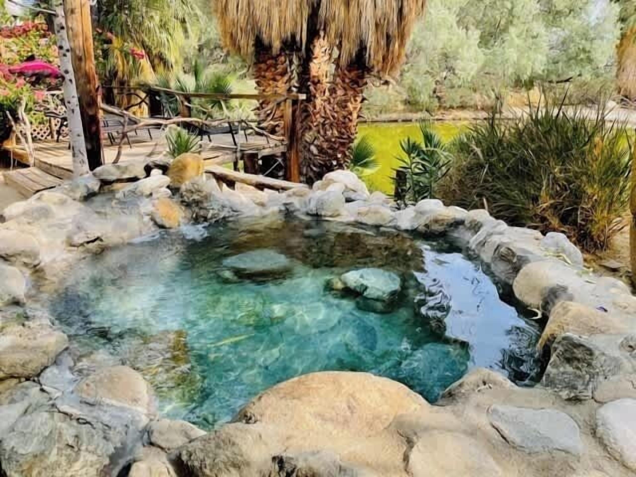A clear pool surrounded by rocks and palm trees.