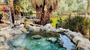 A clear pool surrounded by rocks and palm trees. - Lockout The Oasis | Natural Mineral Hot Springs on 107 Acres (Desert Hot Springs)