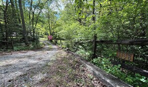 Property grounds - Rock Ridge Base Camp @ DuPont - 6.5 acres, sleeps 5, ride from the house (Hendersonville)