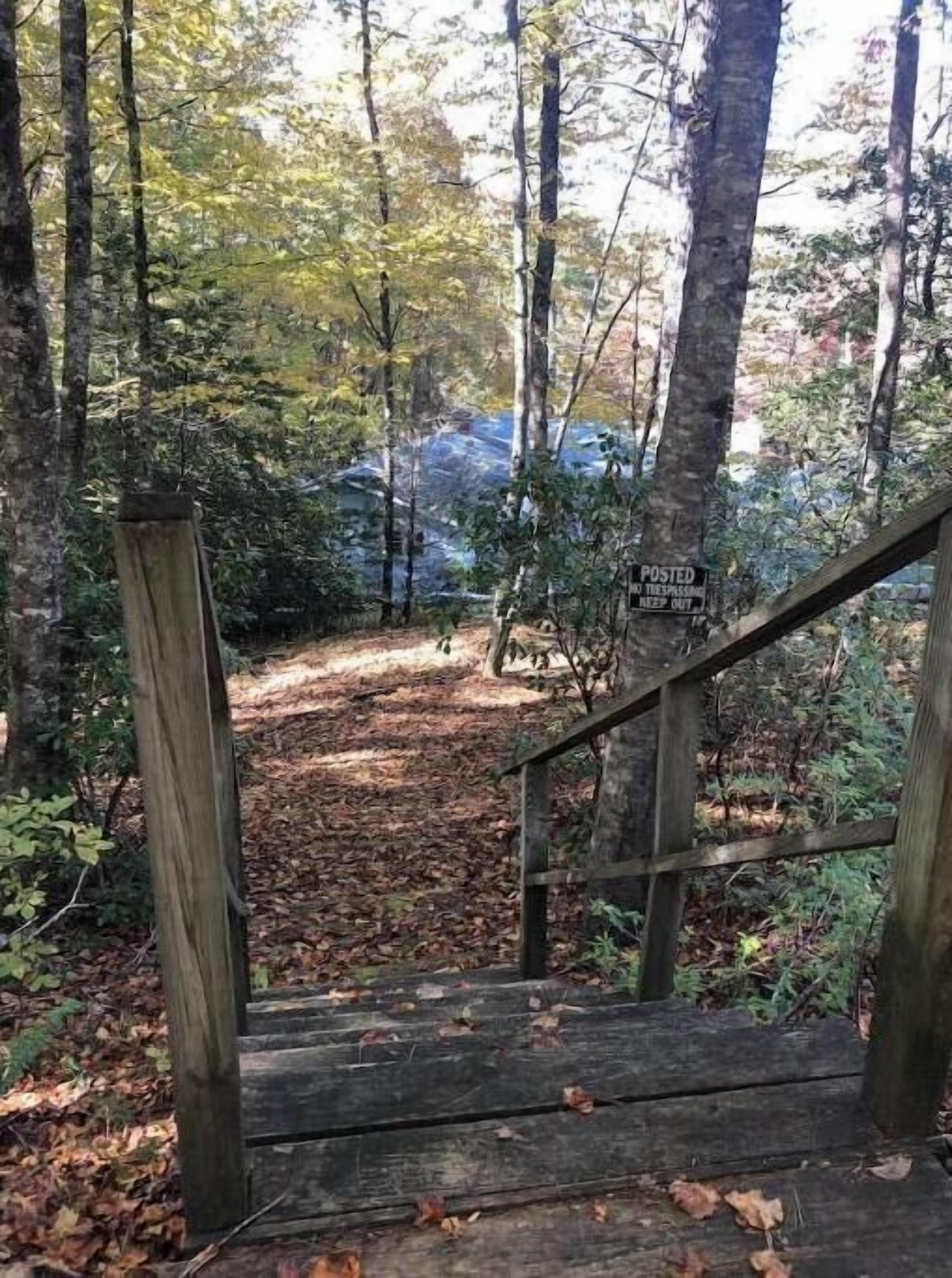Un escalier en bois mène à une zone boisée où un panneau indique le chemin à suivre et où il est interdit de s’aventurer hors des sentiers balisés.