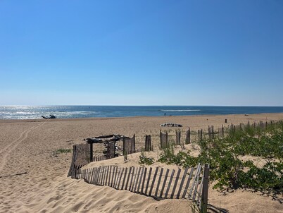 Plum Island Chic Cottage-Steps to Beach!
