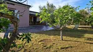 Ein modernes Haus mit Terrasse, einem kleinen Baum und einem Stuhl.