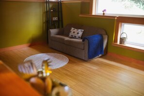 تلفزيون ذكي، مدفأة، مشغل دي في دي، كُتُب