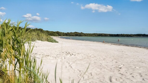 A beach with a sandy shore and a calm sea. - 3 bedroom beautiful home in Sölvesborg (Sölvesborg)