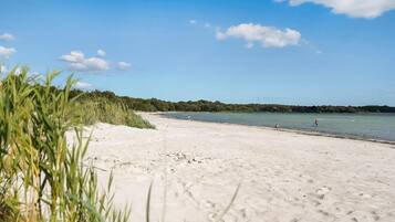 Beach nearby, fishing