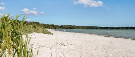 Beach nearby, fishing