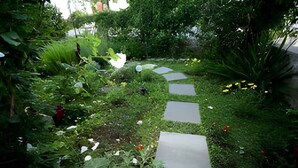 Ein Garten mit einem Kiesweg, üppigem Grün und verschiedenen Pflanzen.
