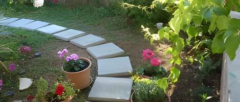 Terrein van de accommodatie