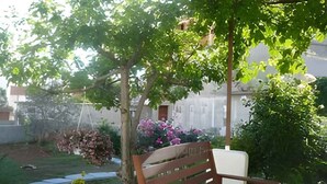 Ein Garten mit einer Holzbank, einem Baum und verschiedenen Pflanzen.