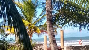 A sandy area with a dog, palm trees, and a wooden bench. - Sol e Mar House - Front beach in Serra Grande (Itacaré)
