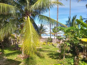 A tropical garden with palm trees, a stone wall, and a view of the ocean.
